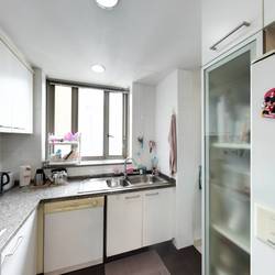 Amaryllis Ville (D11), Condominium #166788532
